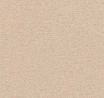 Ковролин Radici Nexus Avena 2403 фото 1 | FLOORDEALER